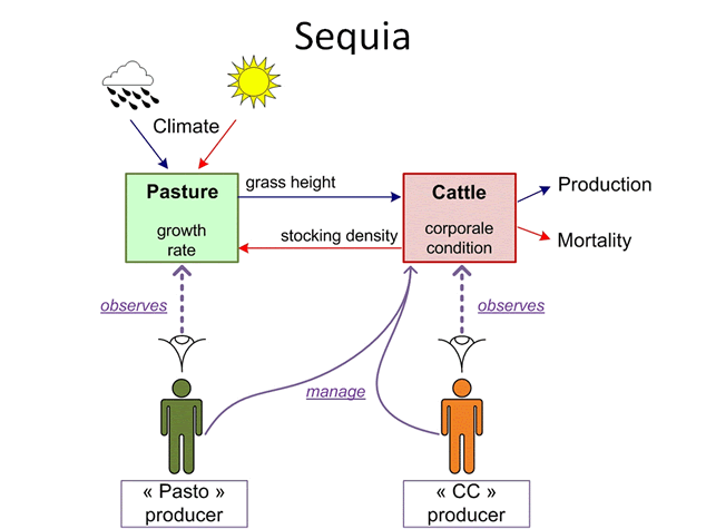 systemic diagram