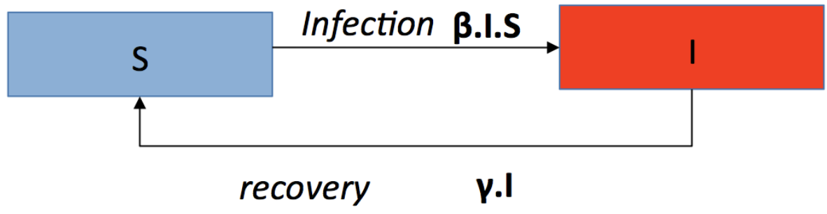 SIS flow model