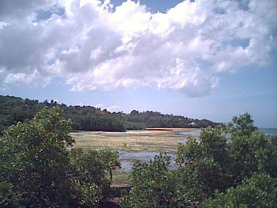 Coast of Loon, Bohol