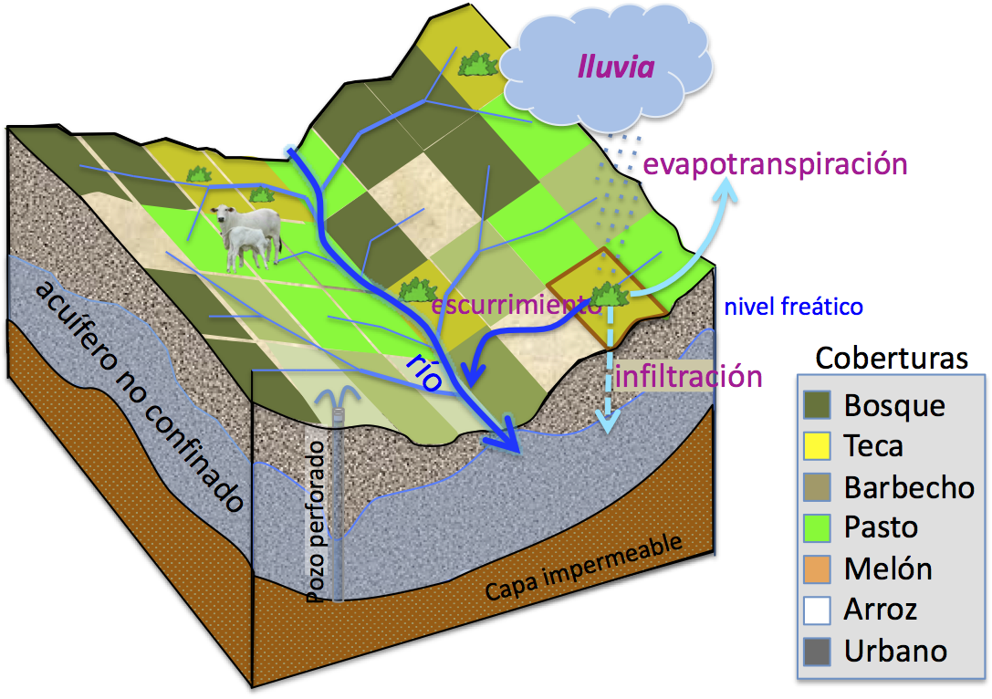 diagrama del acuifero