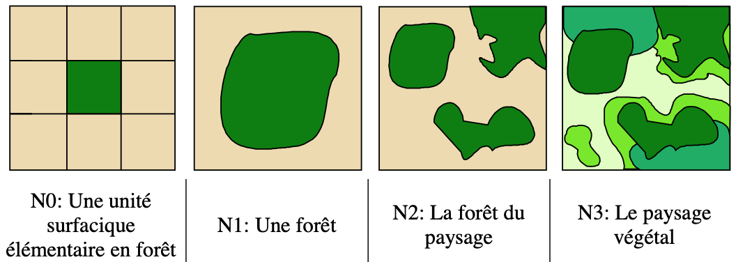 Differents niveaux spatiaux