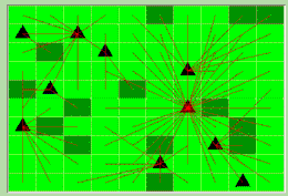 Cormas spatial grid