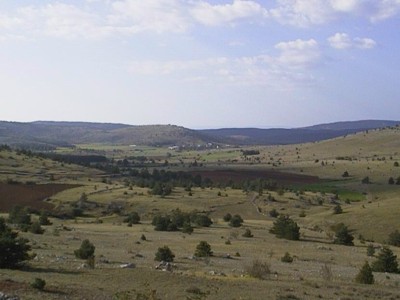 Causse Mejan (South of France)