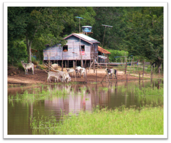 photo of a house